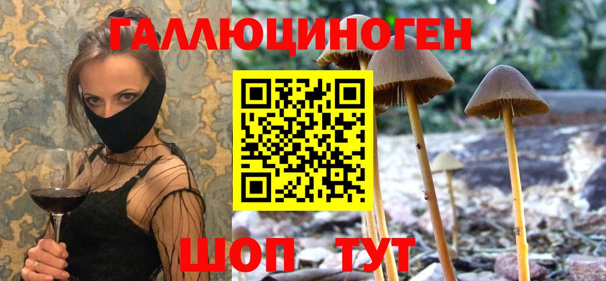 Галлюциногенные грибы Cubensis  Вход с VPN  Углич  Псилоцибиновые грибы Magic Shrooms 